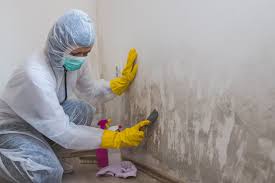 Forensic Mold Investigation in Lake Wylie, SC